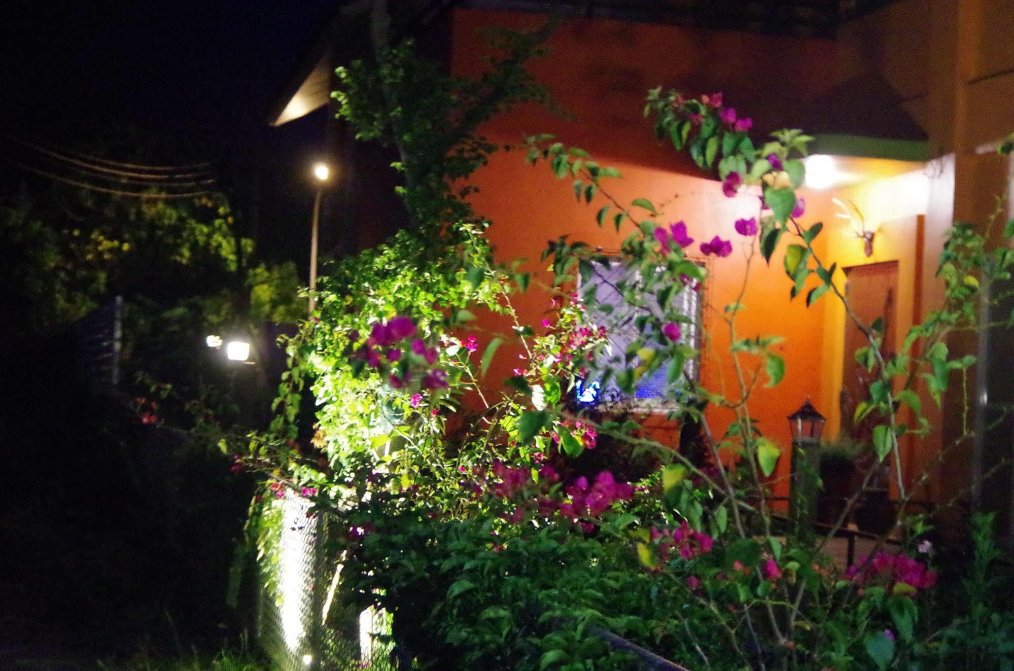 Lung Hill B&B T'ai-tung Dış mekan fotoğraf